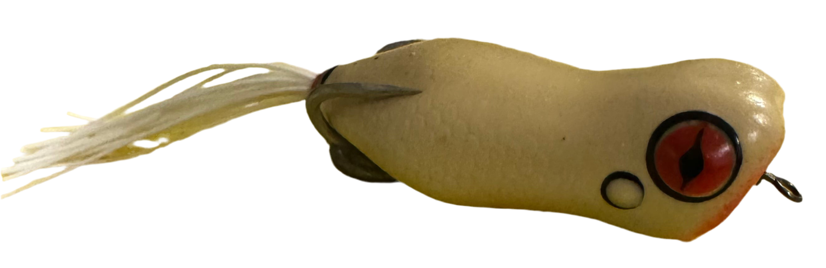 Brain Rot – 2" Popper Frog by SeaChell Fishing