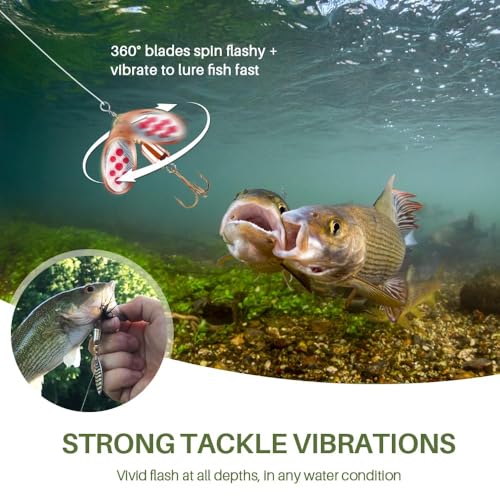 Tbuymax 10-Piece Spinnerbait & Rooster Tail Set – Freshwater & Saltwater