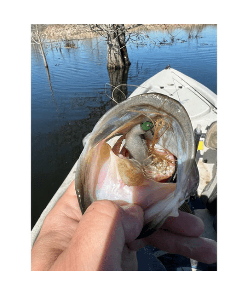 Techno Frog Soft Plastic Frog for Bass – Made in USA