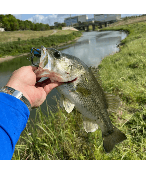 Techno Frog Soft Plastic Frog for Bass – Made in USA