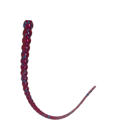 Whip Worm - Soft Plastic Worm with Whip-Like Tail for Bass Fishing